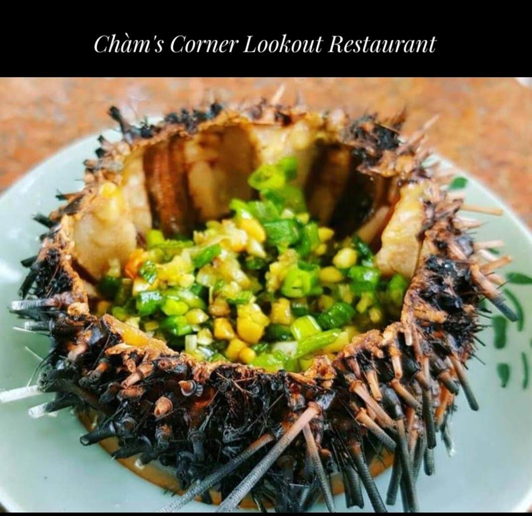 Tân Hiệ Cham'S Corner Lookout Homestay & Restaurant מראה חיצוני תמונה